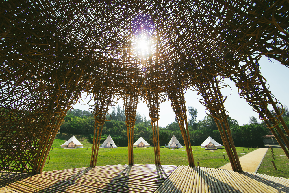 【台灣好樂園】生態環境篇-又見幸福微光