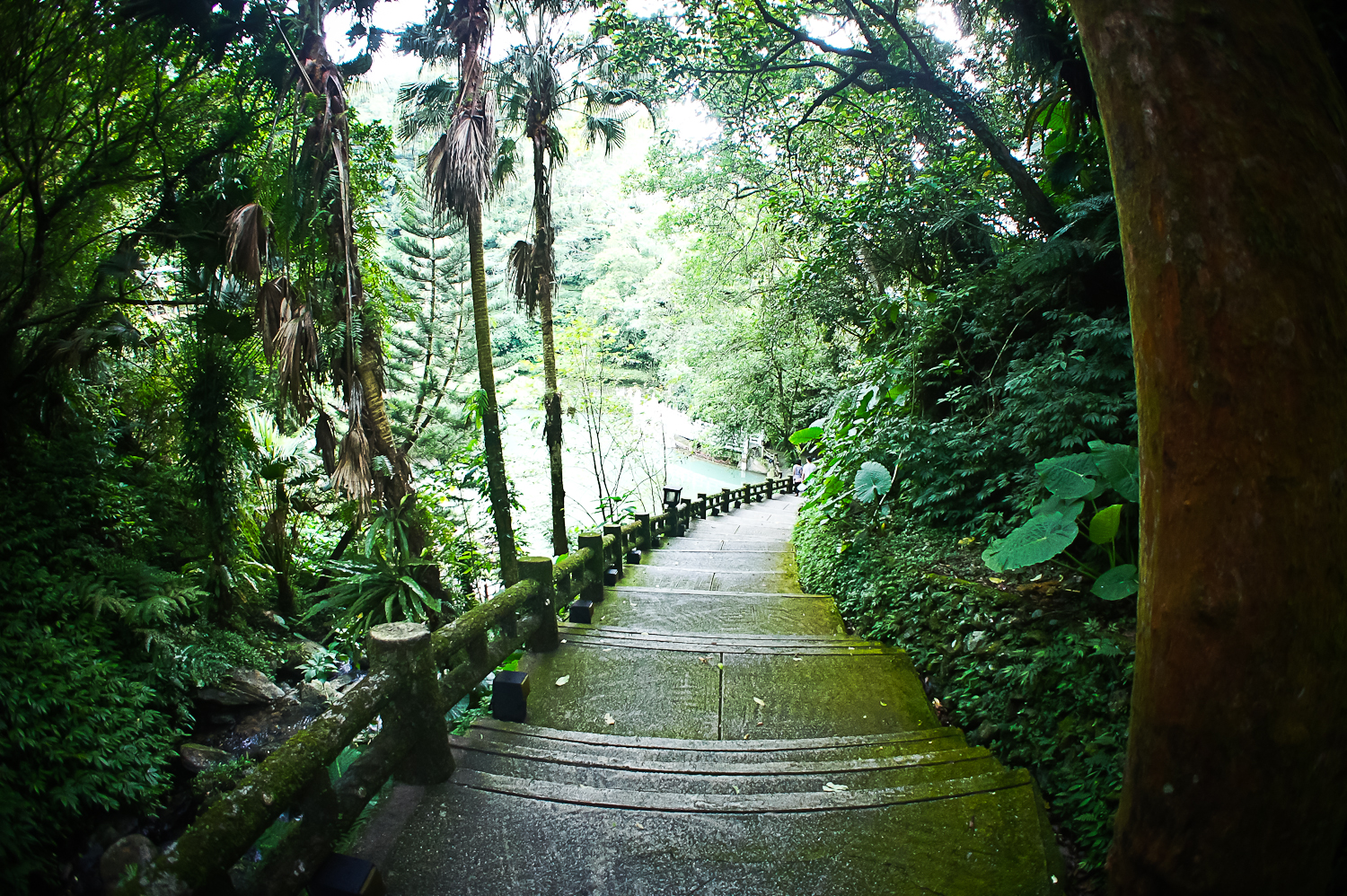 雲仙樂園img5