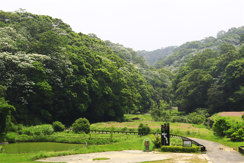 西湖渡假村 (2).jpg