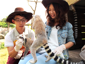 六福村主題遊樂園 園區景觀圖