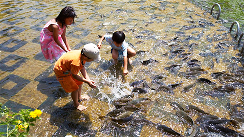 夏-怡園水上涼亭親子餵魚樂.jpg