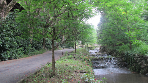 盛夏消暑樂園攻略02.JPG