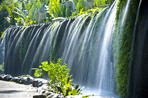 Taman Tema Hutan Badaimg6