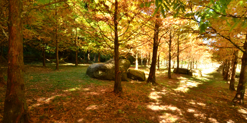 杉林溪森林生態渡假園區