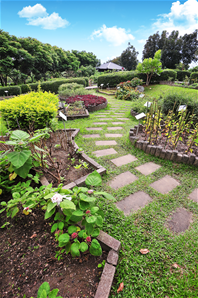 台東原生應用植物園img11