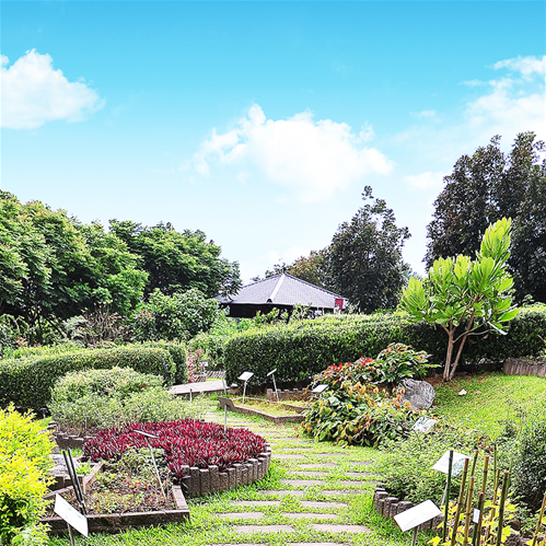 26台東原生應用植物園_1生態療癒.jpg
